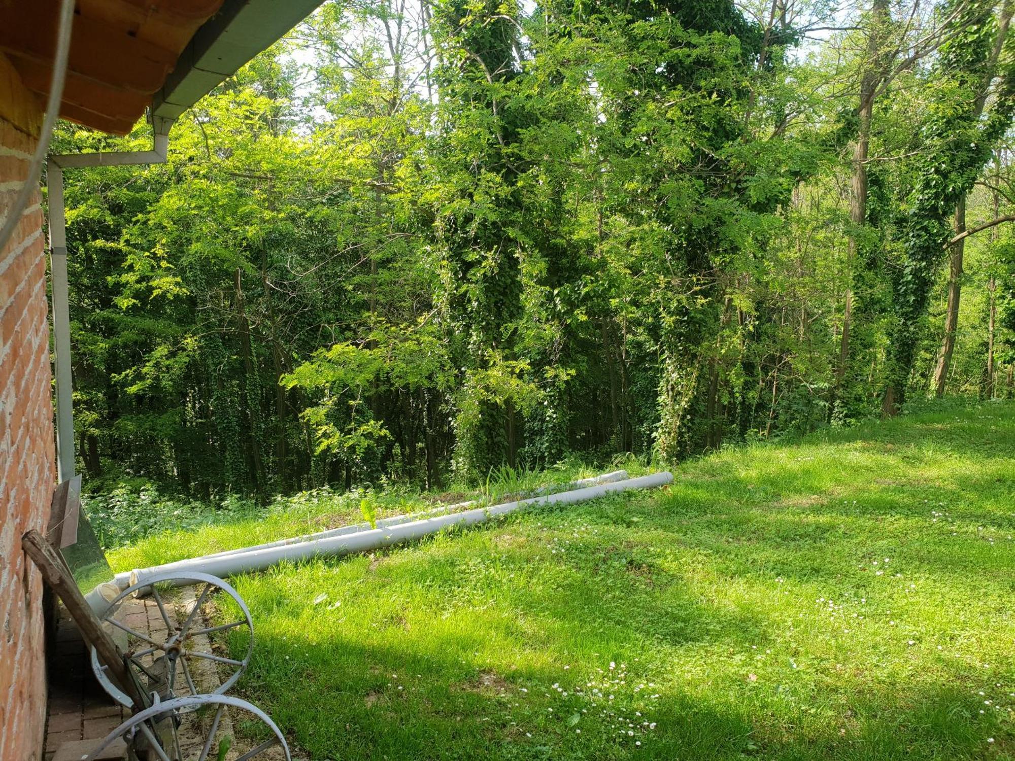 Ruralna Kuca Za Odmor Golub Villa Skaricevo Exteriör bild